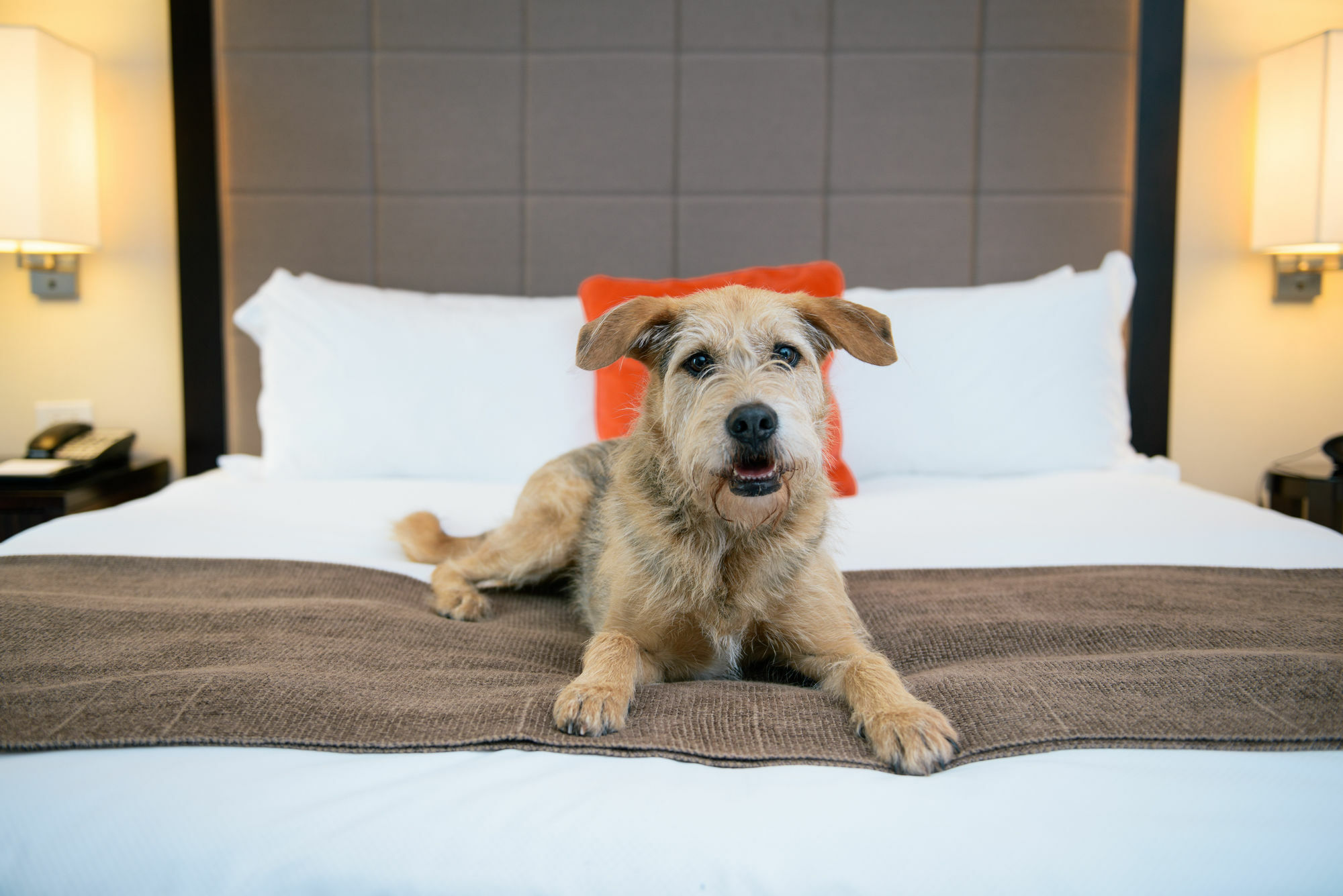 Candlewood Suites Charleston-Northwoods By Ihg North Charleston Bagian luar foto